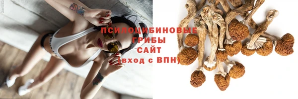 каннабис Приозерск