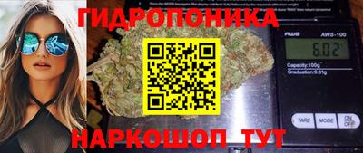 крисы Азнакаево