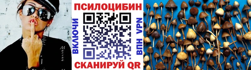 Псилоцибиновые грибы мухоморы  гидра вход  Алатырь  хочу  