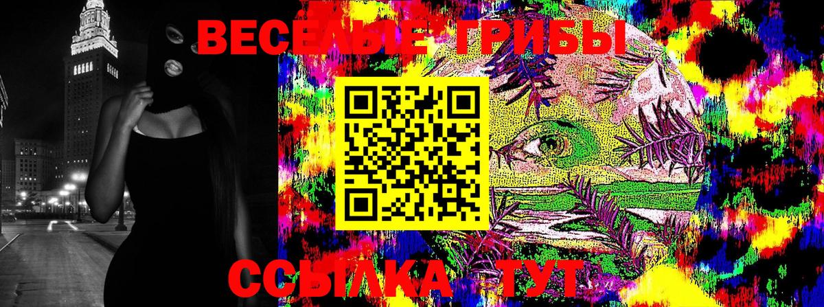 где купить наркоту  Галлюциногенные грибы ЛСД  Вход с VPN  Алатырь 