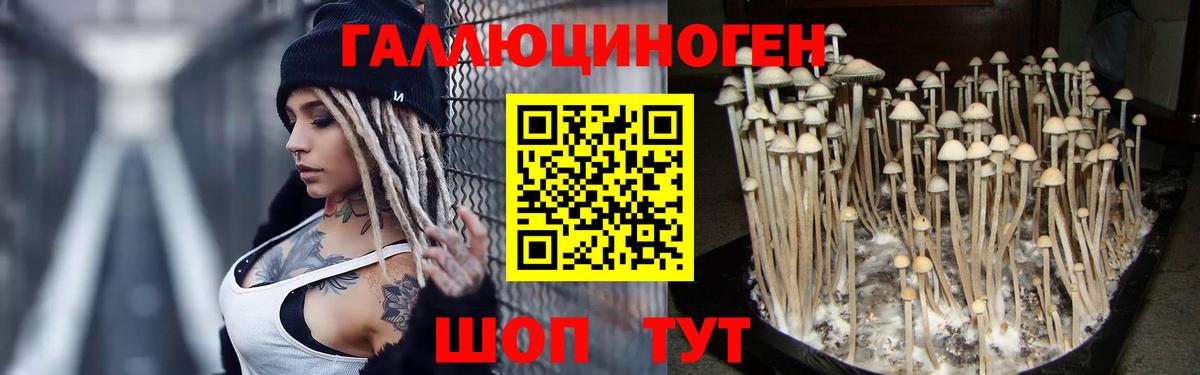 Псилоцибиновые грибы ЛСД Алатырь