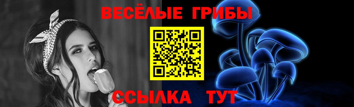 Галлюциногенные грибы Psilocybine cubensis  Алатырь  Псилоцибиновые грибы Psilocybe 