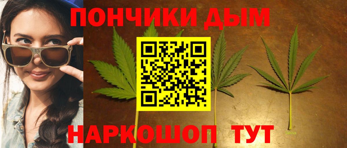 Бошки марихуана гибрид  Конопля индика  Конопля сатива  Алатырь  Конопля White Widow 